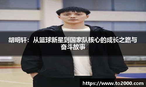 南宫NG28